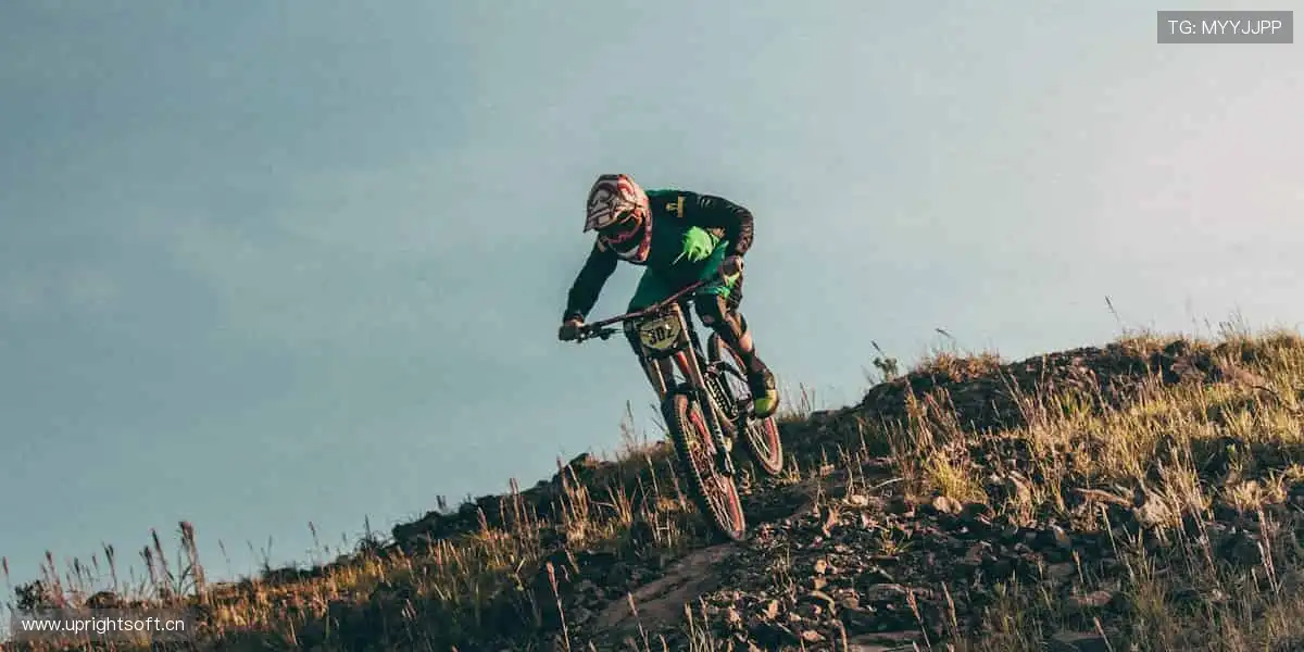 🎯 限量周边,粉丝专属!🎁